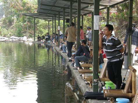 Tips Ampuh Memancing Pom Pom di Kolam Harian: Rahasia Umpan yang Tepat!